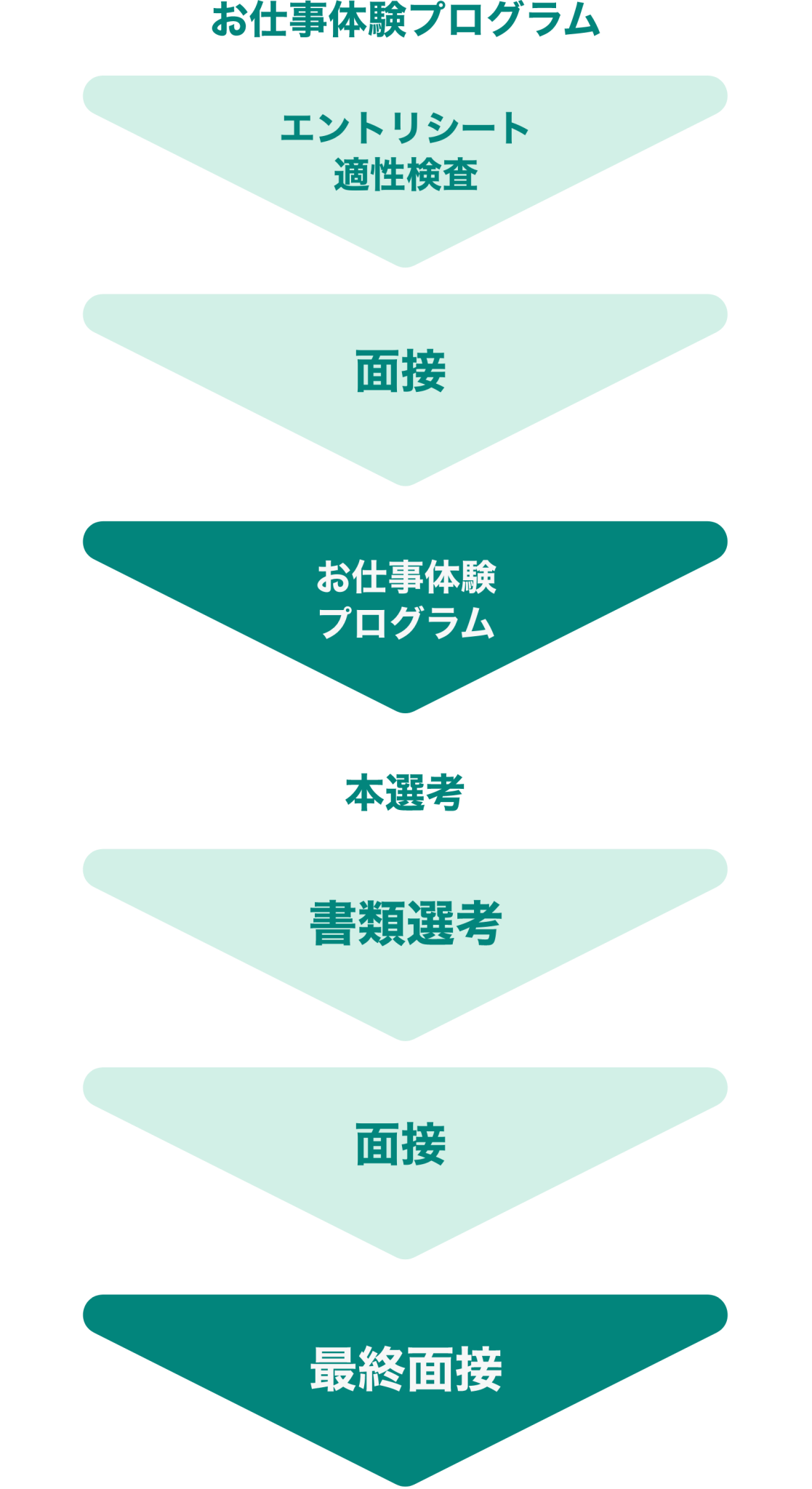 お仕事体験プログラム（エントリーシート→面接→お仕事体験プログラム→）本選考（書類選考→面接→最終面接）